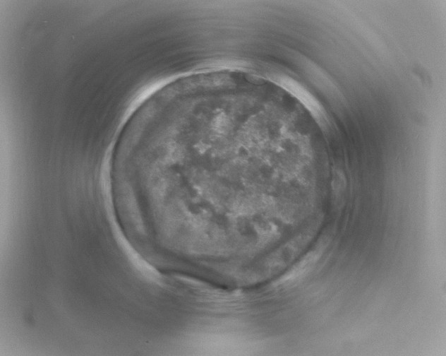 X0000115481055200911271324