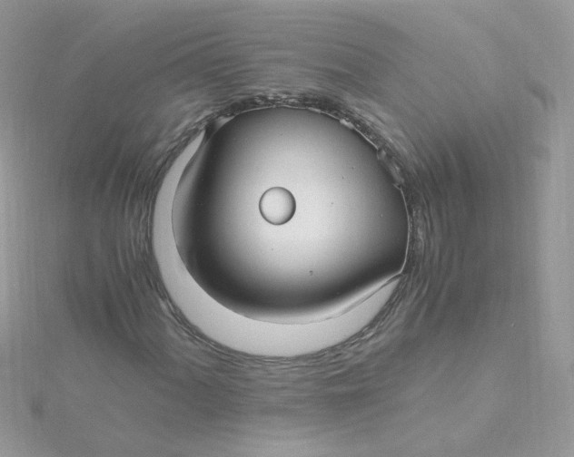 X0000115481060200911271324