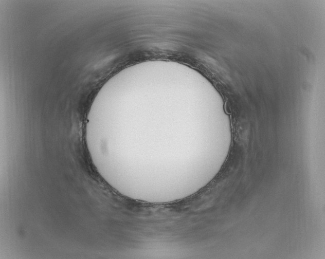 X0000115481061200911271324