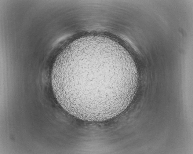 X0000115481063200911271324