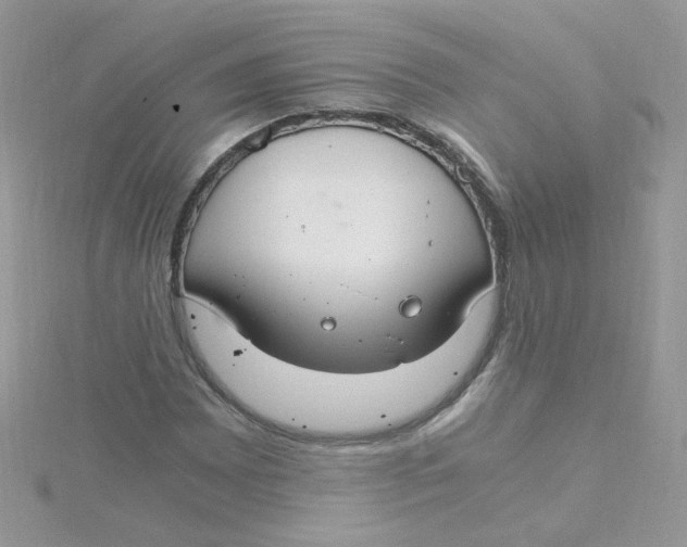 X0000115481065200911271324