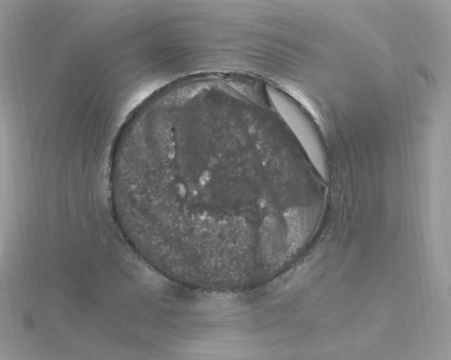 X0000115481071200911271323