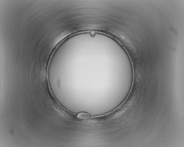 X0000115481073200911271323