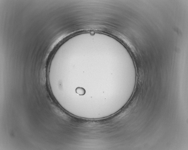 X0000115481075200911271323