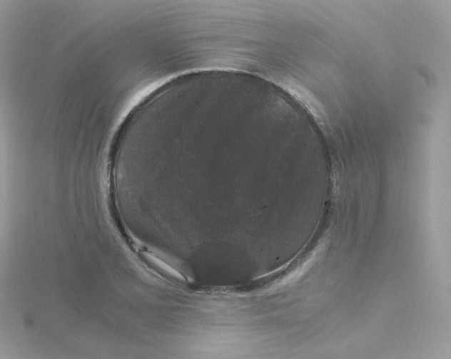 X0000115481077200911271323