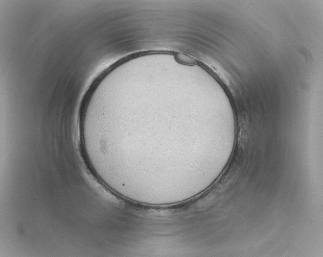 X0000115481080200911271323