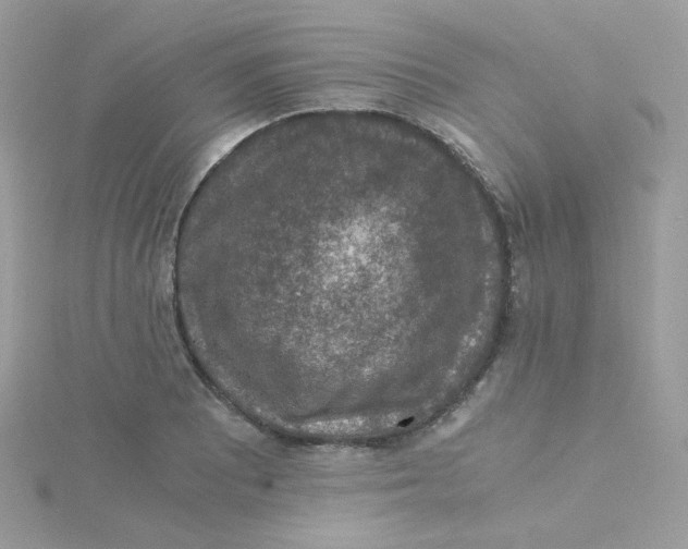 X0000115481081200911271323