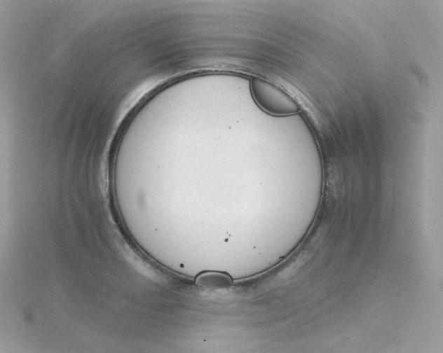 X0000115481082200911271323