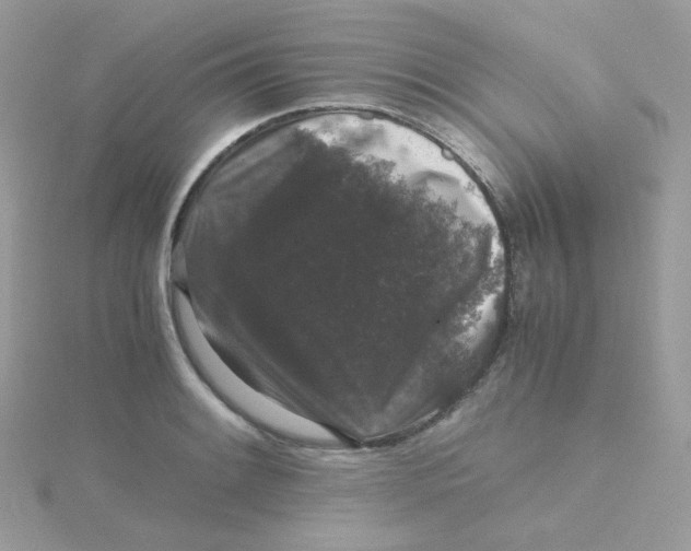 X0000115481084200911271323