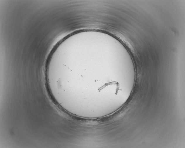 X0000115481085200911271323