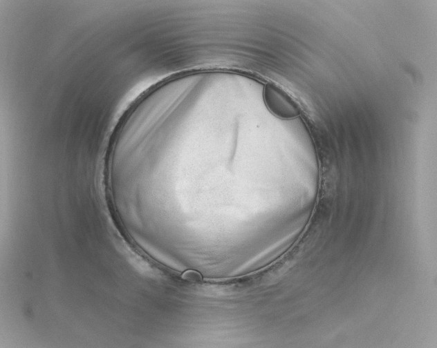 X0000115481086200911271323