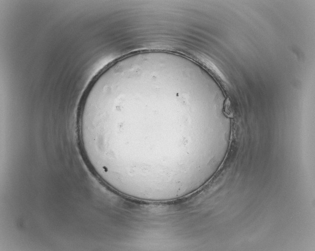 X0000115481087200911271323