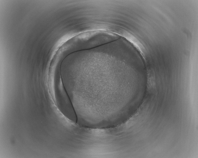 X0000115481088200911271323