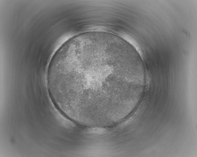 X0000115481090200911271323