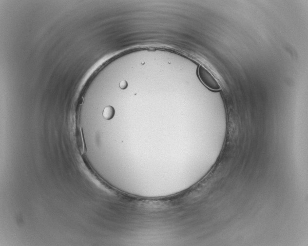 X0000115481092200911271323