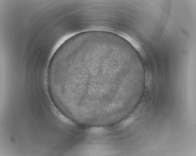 X0000115481094200911271323