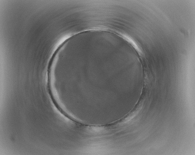 X0000115481095200911271323