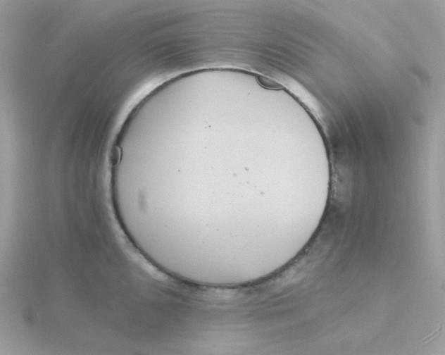 X0000115481096200911271323