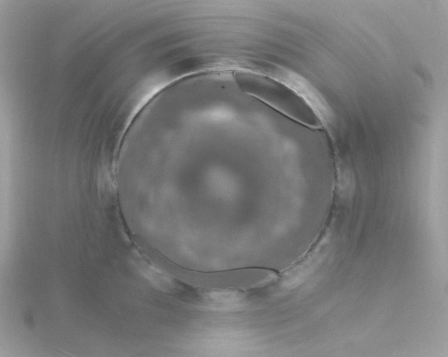 X0000115481097200911271323