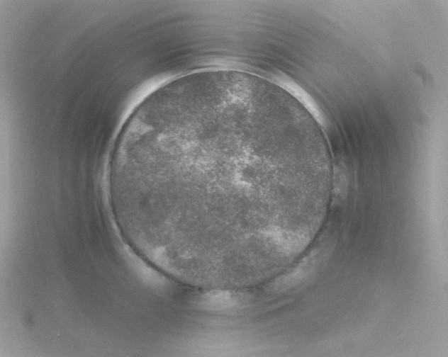 X0000115481098200911271323