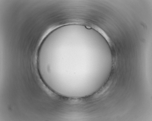 X0000115481099200911271323