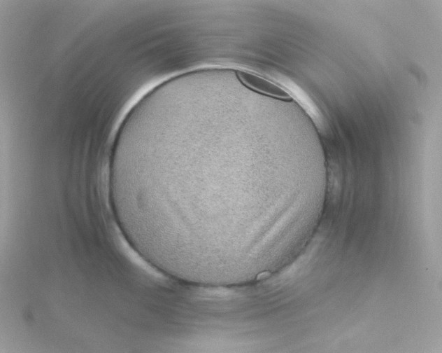 X0000115481100200911271323