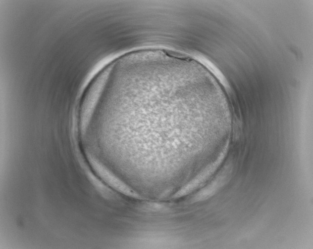 X0000115481101200911271323