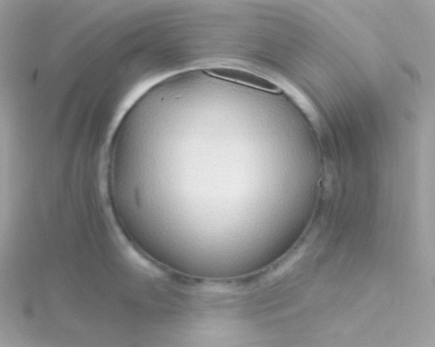 X0000115481102200911271323