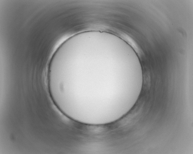 X0000115481103200911271323