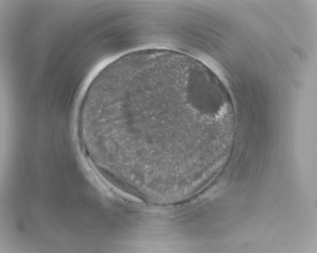 X0000115481104200911271323