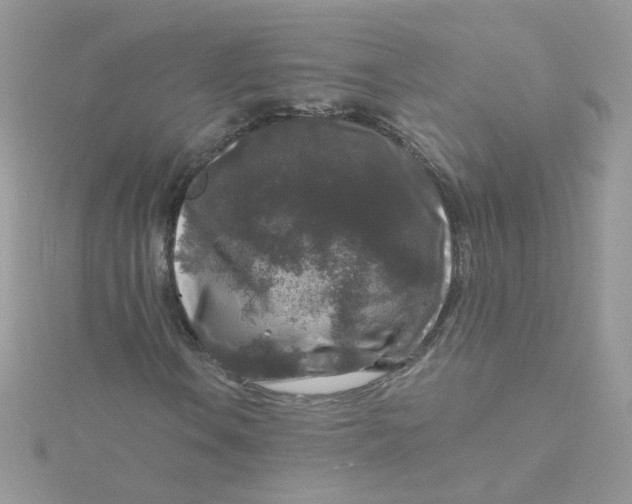 X0000115481106200911271322