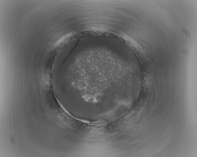 X0000115481110200911271323