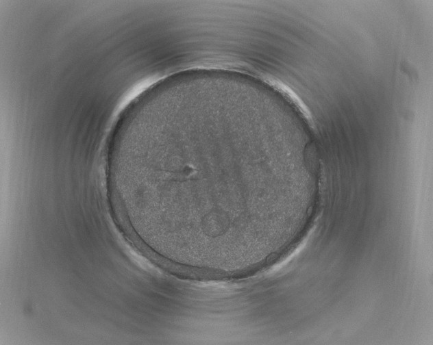 X0000115481114200911271323