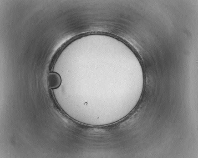 X0000115481119200911271323