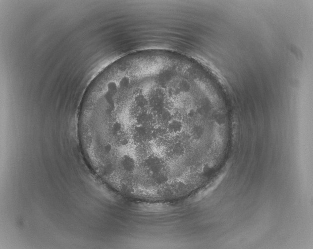 X0000115481121200911271323