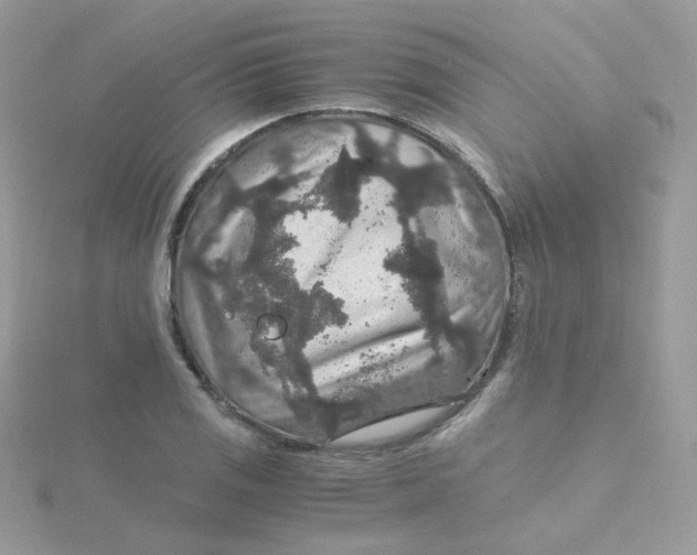 X0000115481125200911271323