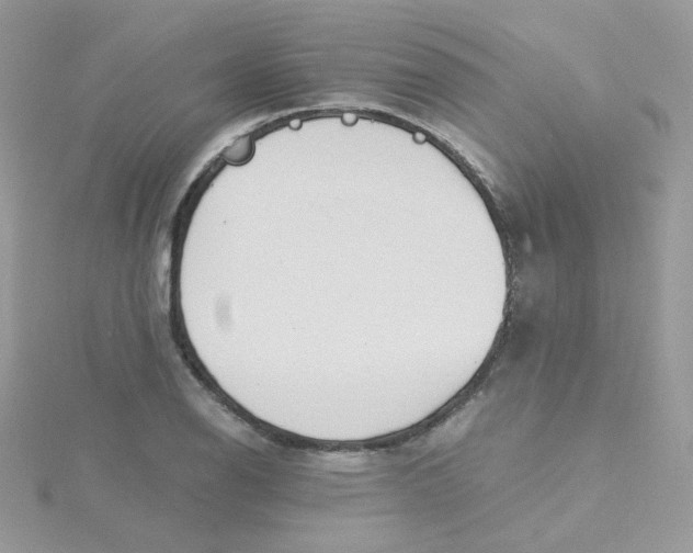 X0000115481126200911271323