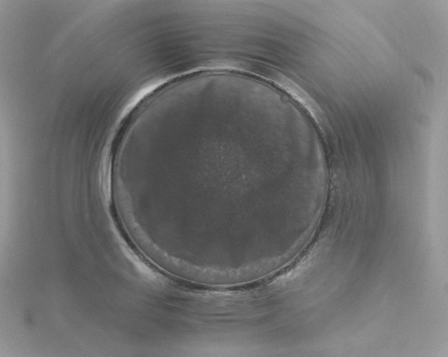 X0000115481127200911271323