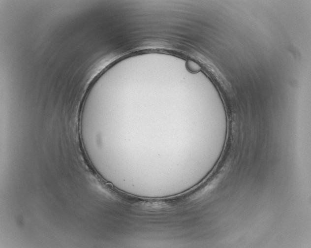 X0000115481129200911271323