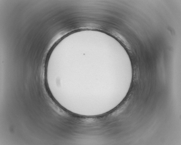 X0000115481130200911271323