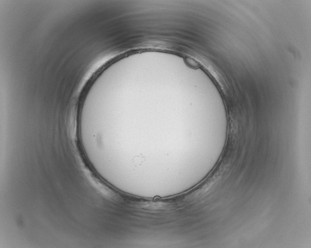 X0000115481131200911271323