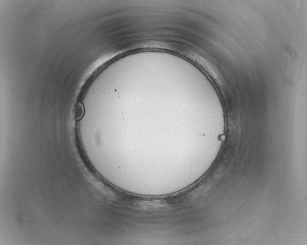 X0000115481133200911271323