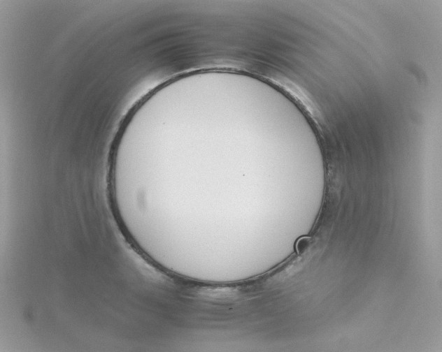 X0000115481135200911271323