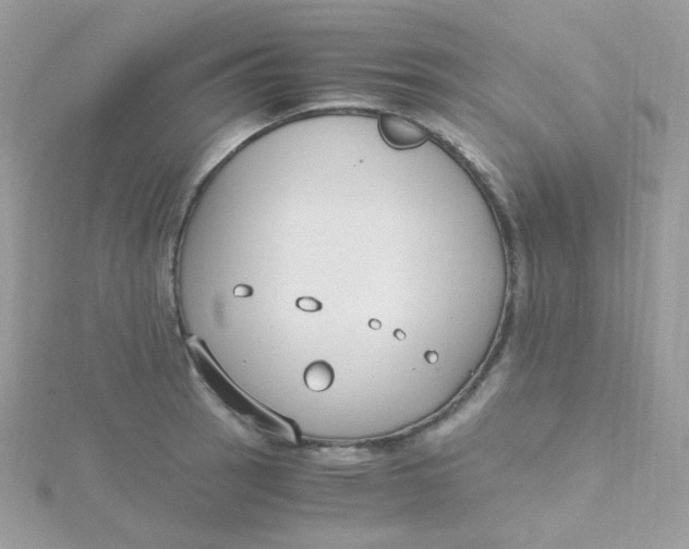 X0000115481137200911271323