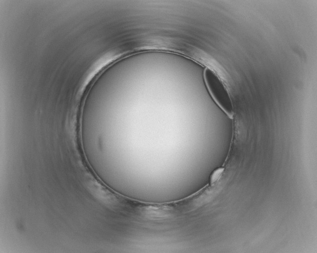 X0000115481138200911271323