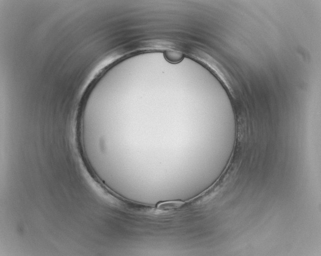 X0000115481139200911271323