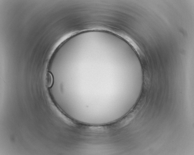 X0000115481142200911271323