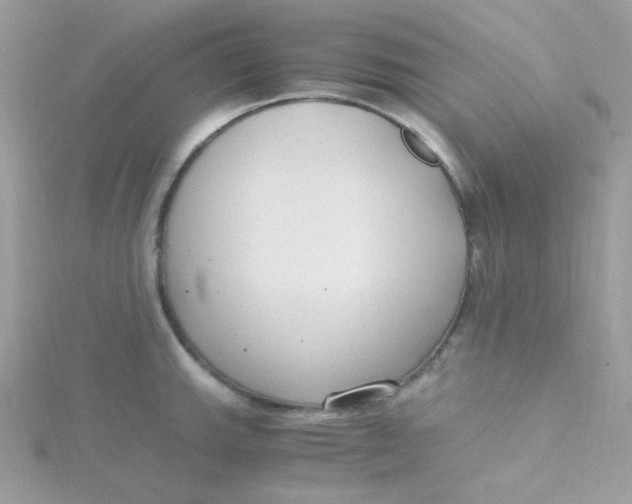 X0000115481143200911271323