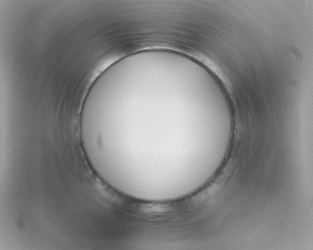 X0000115481145200911271323