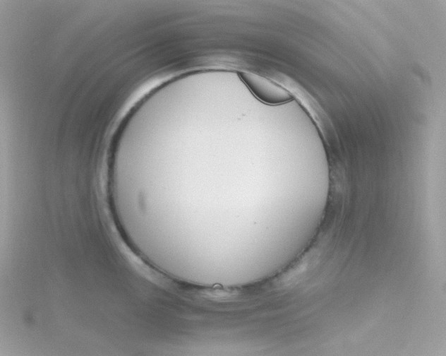 X0000115481147200911271323